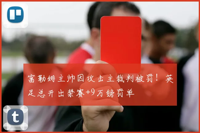 富勒姆主帅因攻击主裁判被罚！英足总开出禁赛+9万镑罚单